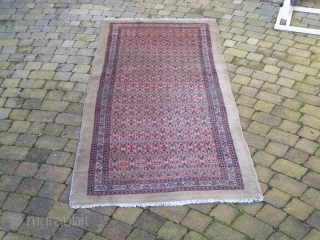 Serab/Bakshaish long rug- North-West Persian, camel ground with field having allover flowerhead lattice enclosed by flowerhead (carnation) and diagonal main border with reciprocal 'Y' guards. Colours: camel, red, green, indigo, blue, pink,  ...