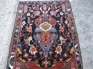 Bahktiari directional design rug 4' 9" x 6' 4".

At least I think it's a Bahktiari - I'm open to suggestions...  Whatever it is, it's wild!  Vivid color and a design  ...