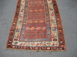 Kurd Bidjar Runner, 3' 2" x 14' 4" overall.  Width varies to maximum of about 3' 4".  Wool-on-wool construction. Probably late 19th or early 20th century.  Edges and ends  ...