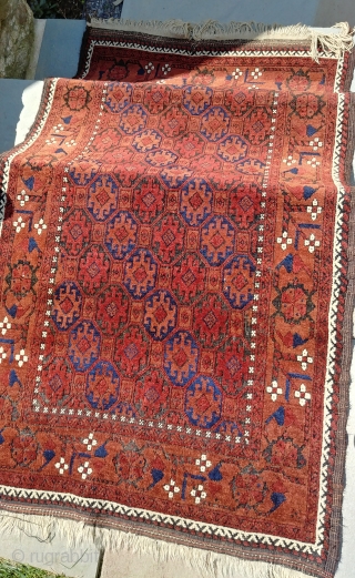 Khorasan Baluch rug. 1900 or so, ~95cm x ~150cm. Excellent shape. Vibrant wool. Some corrosion. One small, inconspicuous mend at the south end. Clean. Photo #2 taken in partial sun. The remainder  ...