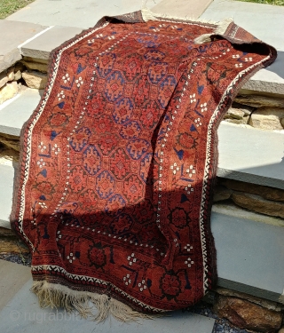 Khorasan Baluch rug. 1900 or so, ~95cm x ~150cm. Excellent shape. Vibrant wool. Some corrosion. One small, inconspicuous mend at the south end. Clean. Photo #2 taken in partial sun. The remainder  ...