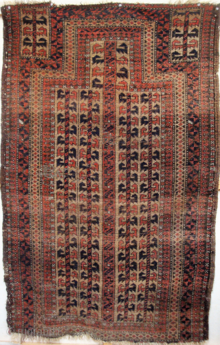 Antique Baluch 5 Trees Prayer Rug, rare design with Turkmen-like curled leaves, 36 x 55 inches. USD 275.- includes shipping in the U.S. Accept check or PayPal. jbatki@twcny.rr.com     