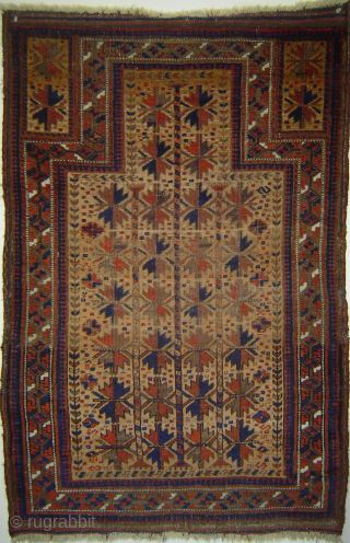 Classic 19th century Antique Baluch 3 Trees on Camel field prayer rug, 31 x 51 inches, in very good condition. -- please inquire johnbatki@gmail.com         