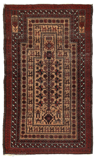 Superb Antique Baluch Prayer Rug with unusual Humanoid and Animal figures, 33 x57 inches.
Wear compatible with age, second half 19th century. -- Please inquire johnbatki@gmail.com        