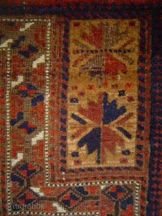 Classic 19th century Antique Baluch 3 Trees on Camel field prayer rug, 31 x 51 inches, in very good condition. -- please inquire johnbatki@gmail.com         