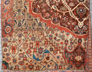 Fine 19th century square BIJAR vagireh, 46 x 48 inches. Night and Day, lavish in every way. Please inquire johnbatki@gmail.com             