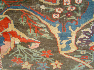 BIJAR GERRUS vagireh, 36 x 70 inches. Glowing colors of 19th century North-West Persian Kurdistan. Samples of stylized floral designs: florid yet sober tomato-red field, broad main bprder and 3 different secondaries.  ...
