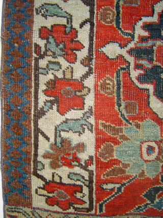 BIJAR GERRUS vagireh, 36 x 70 inches. Glowing colors of 19th century North-West Persian Kurdistan. Samples of stylized floral designs: florid yet sober tomato-red field, broad main bprder and 3 different secondaries.  ...