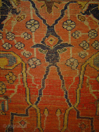 Early Bijar vagireh, 38 x 41 inches. A dream in old rose madder. Even wear consistent with age. johnbatki@gmail.com              