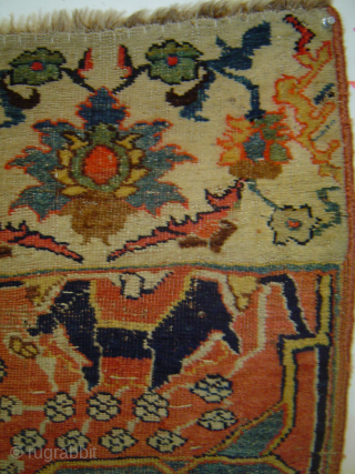 Early Bijar vagireh, 38 x 41 inches. A dream in old rose madder. Even wear consistent with age. johnbatki@gmail.com              