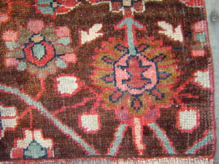 Bijar vagireh with Floral Design on Natural Brown field, 42 x 57 inches. Early 20th century, excellent condition, USD 1350.-  please email me directly at johnbatki@gmail.com      