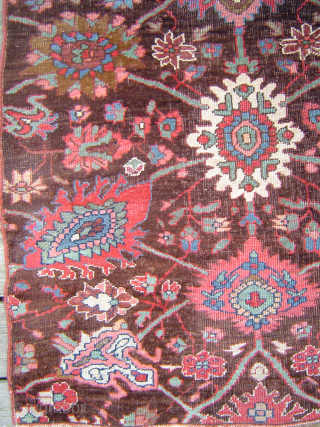 Bijar vagireh with Floral Design on Natural Brown field, 42 x 57 inches. Early 20th century, excellent condition, USD 1350.-  please email me directly at johnbatki@gmail.com      