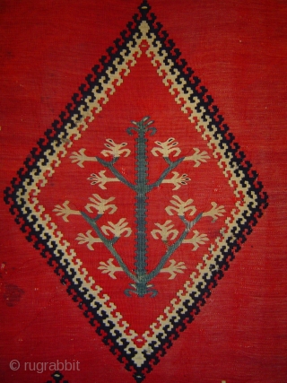 Antique Pirot small Tree kilim, 40 x 59 inches. Very fine weave, delicately drawn small Tree in central diamond medallion. In good condition with small nicks and one small old repair at  ...