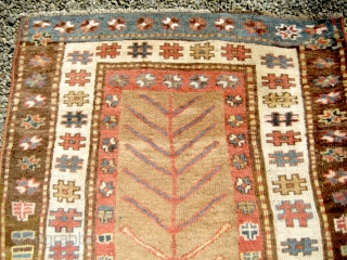 Rare Kurdish, gabbeh-like, tree-of-life rug. Soft and supple handle; some end losses; restoration in middle section. Sides rebound. Natural colours as far as I can make out; late 19th or early 20th  ...