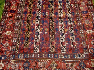 Unusual 'cane' Khamseh in beautiful condition. Fine wool and lovely colours. 2.04 x 1.50 m.                  