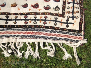 A Khamseh horse cover in great condition.                          