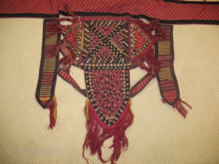 This is a beautiful horse dressing from the first quarter of the 20th century. There is hand embroidery on the side flags. The head piece is embellished with both beading and embroidery.  ...