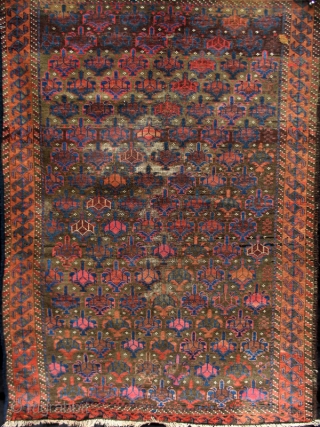 Symmetrically knotted Baluch rug, of the type now often called Bahluli. Very good color on a brown ground with Dokhtar-i Gazi shrubs and a border often seen in some Turkmen rugs.
(3'9" x  ...