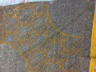 Rare yellow Moon Shawls .                            
