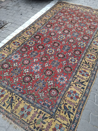 Bidjar size 270/150 cm                             
