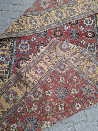 Bidjar size 270/150 cm                             
