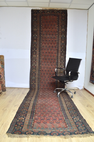 Wonderful antique North West Area Kurdish Runner or long rug … great so called boteh  or shawl pattern…
With beautiful natural colours and uniformly low pile  great character 1900-1920 period 
Missing  ...