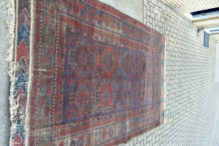 Huge 19th century Baluch Timuri Main Carpet from a Dutch Estate.
Size 292 x 184 centimeters .100% natural colors amazing variation in paterns.Slightly wear coroded area's Original kilim ends few little holes .No  ...