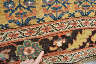 Gorgeous Antique Rare Yellow Ground Garus area  Kurdish Rug... Check the Rare Floral border with big ornaments...
No repairs mostly good pile some slightly wear area few spots of coroded brown. ready  ...