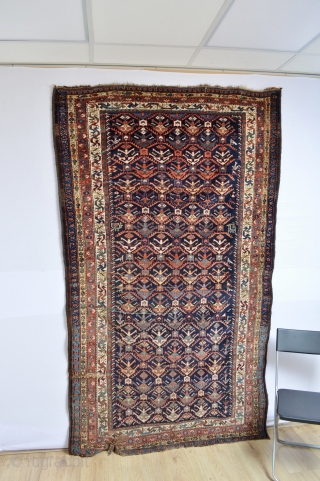 Beautiful 19th century Shahsavan from Moghan Savalan area mostly full pile 
with some wear spots as shown .. Nevertheless designfull and decorative 236 x 139 cm
Washed and cleaned..     