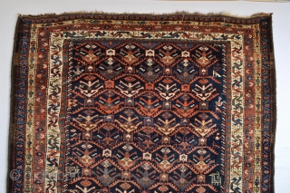 Beautiful 19th century Shahsavan from Moghan Savalan area mostly full pile 
with some wear spots as shown .. Nevertheless designfull and decorative 236 x 139 cm
Washed and cleaned..     