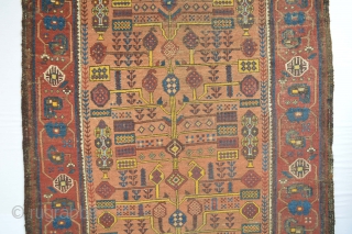 Beautiful and Colorful Early Sistan Area Baluch Rug with All natural dyestuffs Gorgeous open Border 
Specialy Rich used yellow from The willow Leaves... Check the Eclectic Drawn see  the symbols and  ...