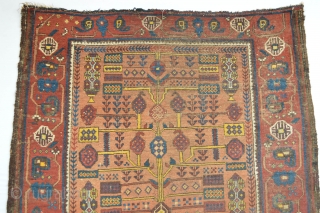 Beautiful and Colorful Early Sistan Area Baluch Rug with All natural dyestuffs Gorgeous open Border 
Specialy Rich used yellow from The willow Leaves... Check the Eclectic Drawn see  the symbols and  ...