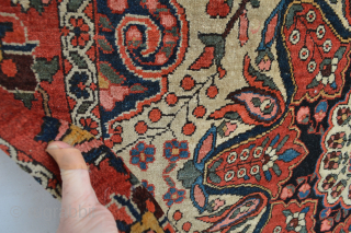 Fabulous Old 1930’s Rare White ground Bakhtiari small rug ..as found condition…circa 200 x 140 centimeter
Good condition strong touch as found and is nned a good wash..