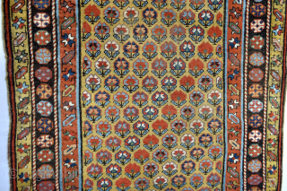 Beautiful Yellow ground Colours 1880’s or before Caucasian long rug with all natural dyes stuffs                  