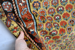 Beautiful Yellow ground Colours 1880’s or before Caucasian long rug with all natural dyes stuffs                  