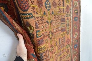 Beautiful and Colorful Early Sistan Area Baluch Rug with All natural dyestuffs Gorgeous open Border Specialy Rich used yellow from The willow Leaves... Check the Eclectic Drawn see the symbols and the  ...