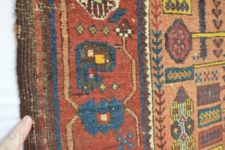 Beautiful and Colorful Early Sistan Area Baluch Rug with All natural dyestuffs Gorgeous open Border Specialy Rich used yellow from The willow Leaves... Check the Eclectic Drawn see the symbols and the  ...