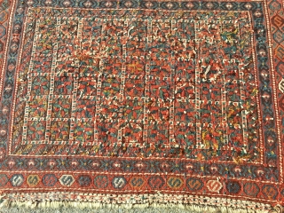 Early Snowdrops, Afshar Tribe 1850-1880. Soumak
3 dimensional flowers..
                         