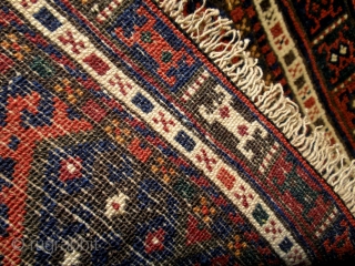 Packman Border Very actractive Jaf Kurd. Good condition and exelent wool.                      