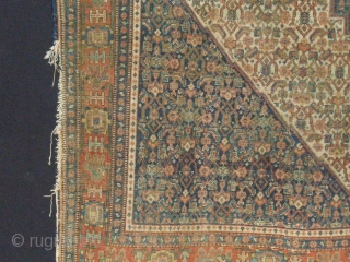 last quarter of 19 th century Kurdish Senneh.
Evenly low pile. Must be cleaned and repair the sides,
very fine and natural dyed collors beautyfull rug.

Size 198 x 139 cm     