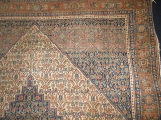 last quarter of 19 th century Kurdish Senneh.
Evenly low pile. Must be cleaned and repair the sides,
very fine and natural dyed collors beautyfull rug.

Size 198 x 139 cm     