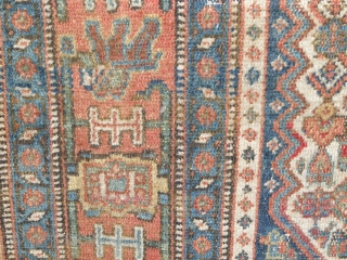 last quarter of 19 th century Kurdish Senneh.
Evenly low pile. Must be cleaned and repair the sides,
very fine and natural dyed collors beautyfull rug.

Size 198 x 139 cm     