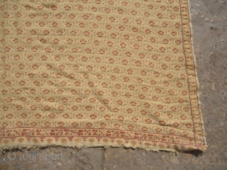 Kashmiri Shawl with unusual color and design.very beautiful pce.E.mail for more info.                     