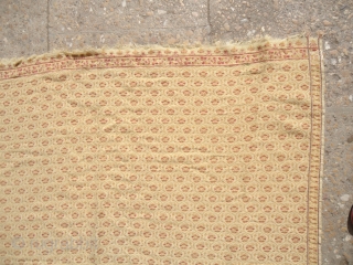 Kashmiri Shawl with unusual color and design.very beautiful pce.E.mail for more info.                     