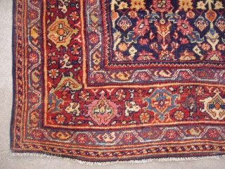 19th Century Bijar Rug,exceptional colours and a very beautiful desigen,a cheerfull rug,Wool on cotton,Hand washed Ready for the display,E.mail for more info.           