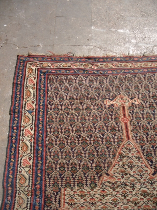 Senneh Kilim Fragment with all natural colors,fine weave and with very unusual deisgn,All over good condition,just cut from the middle and joint.E.mail for more info and pics.      