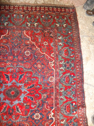 Beautiful Khamseh or Qashqai Rug,with beautiful colours and shiney wool,very nice design,Fine weave and very good condition.Size 6*4'6".E.mail for more info.            