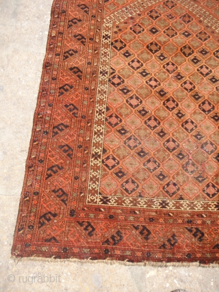 Central Asian prayer Rug with early age and fine weave,very nice design and all natural colors,As find.E.mail for more info and pics.           