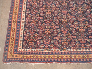 Senneh Kilim with fine and good colors,good condition and very nice design.Size 6'5"*4'3".E.mail for more info and pics.               