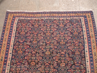 Senneh Kilim with fine and good colors,good condition and very nice design.Size 6'5"*4'3".E.mail for more info and pics.               